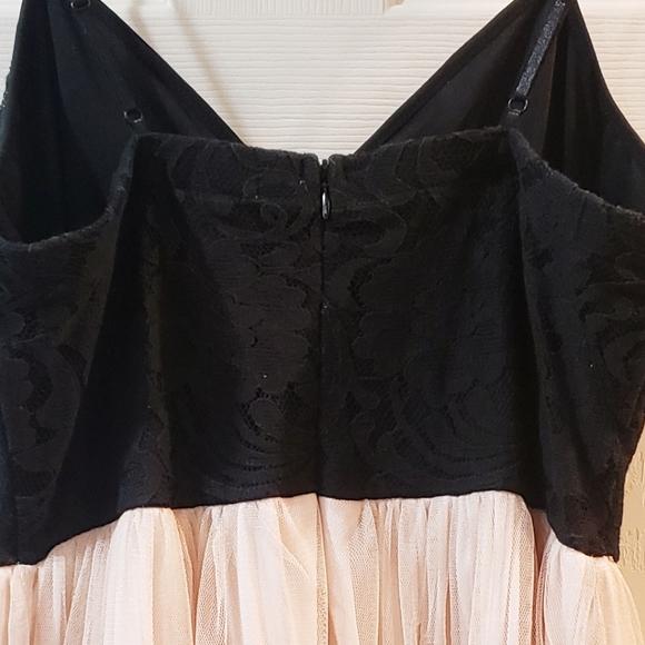 Blush and Black Spaghetti Strap Dress - Picture 6 of 7